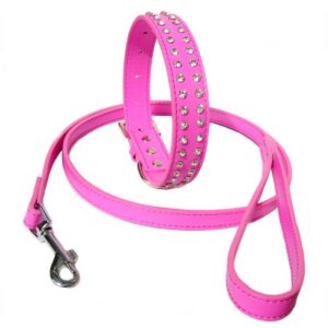 2-Row Collar Lead Set - Hot Pink